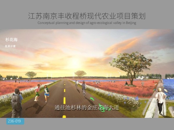 江苏南京丰收程桥现代农业项目策划