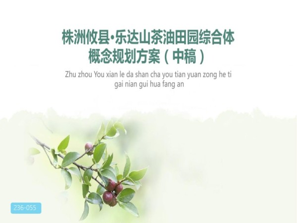 湖南乐达山茶油田园综合体概念规划