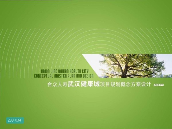 武汉健康城项目概念规划规划