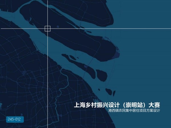 上海港西镇农民集中居住项目方案设计