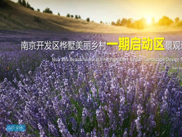 南京开发区桦墅美丽乡村景观改造设计