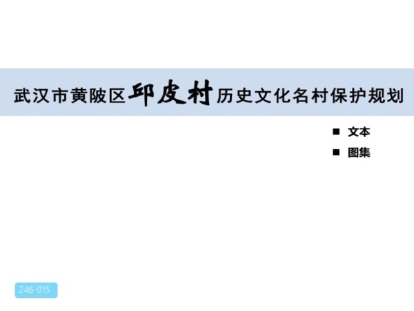 武汉市历史文化名村邱皮村保护规划