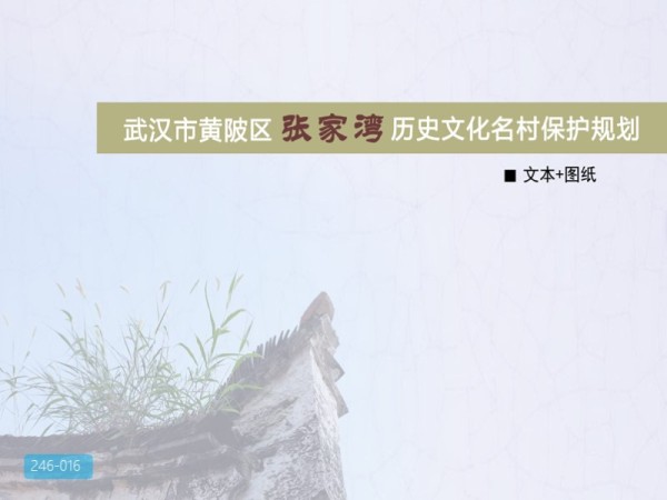 武汉市历史文化名村张家湾保护规划