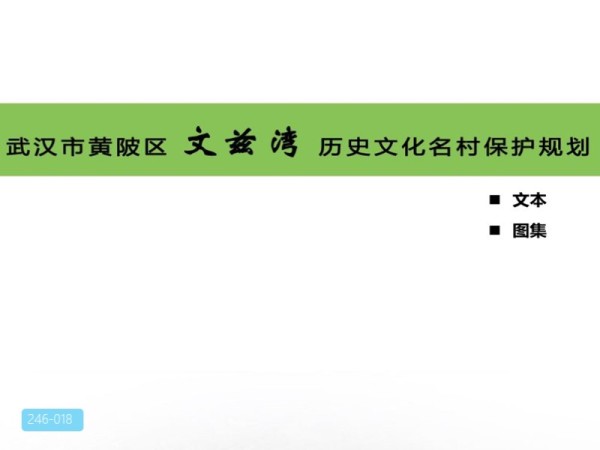 武汉市历史文化名村保护规划