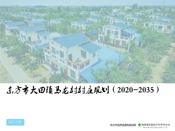 东方市大田镇马龙村规划2020-2035