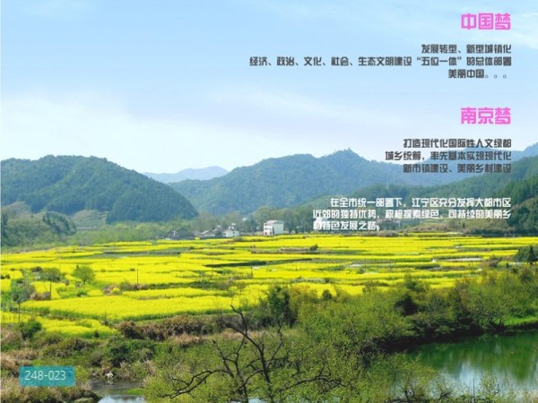 江宁美丽乡村示范区概念规划