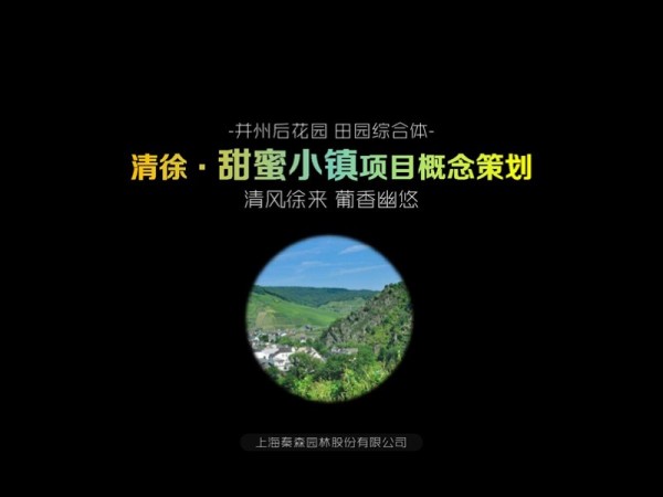 清徐甜蜜小镇项目概念策划