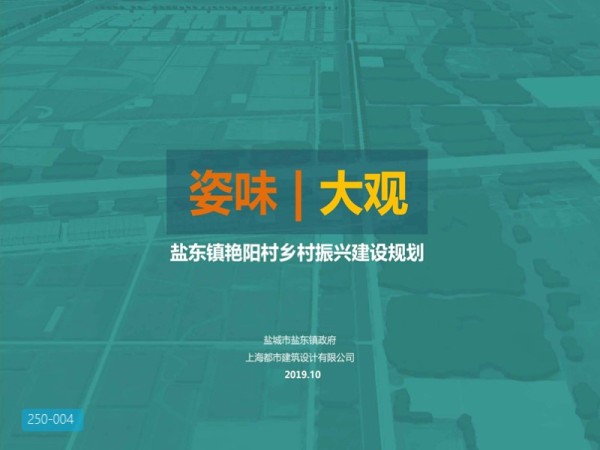盐东艳阳村乡村振兴建设规划