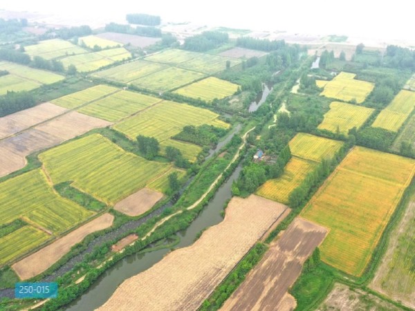 清江绿农浦口区乡村振兴精品线详细规划
