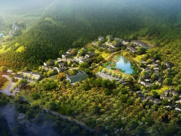 桂花镇金井村乡村振兴建设规划