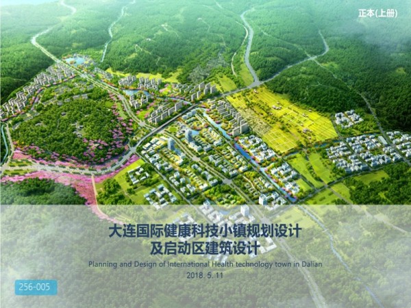 大连国际健康科技小镇规划设计
