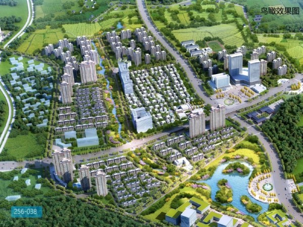 大连国际健康科技小镇概念总体规划下