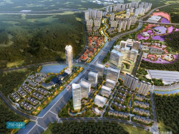 大连国际健康科技小镇总体规划