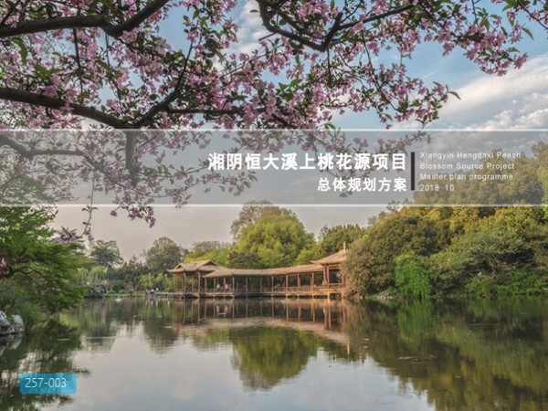 湖南溪上桃花源项目总体规划设计方案