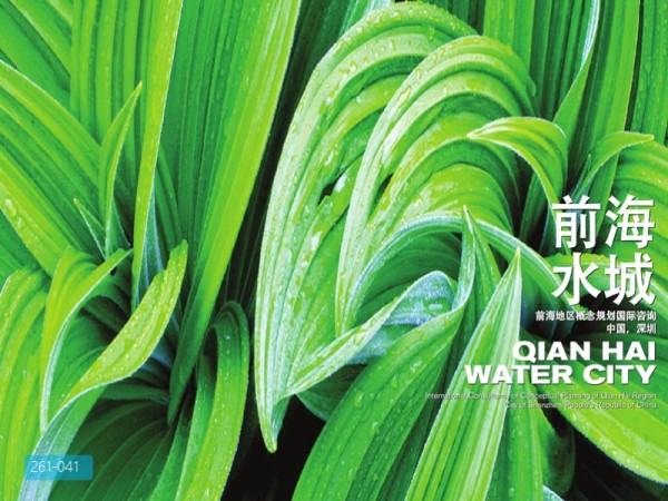 深圳前海地区概念规划国际咨询
