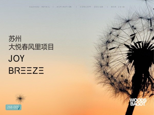 苏州大悦春风里项目设计方案