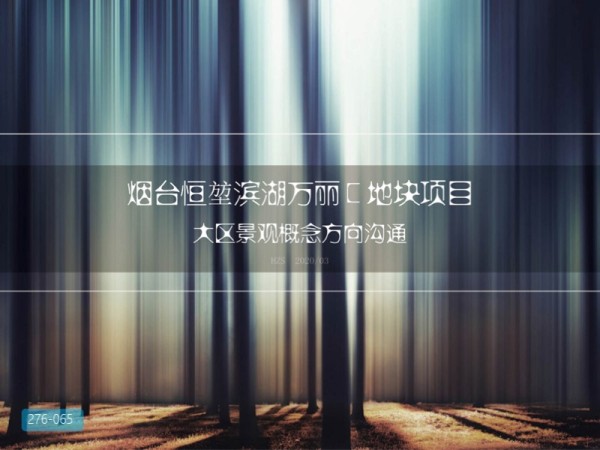 烟台恒堃滨湖万丽大区C景观概念沟通