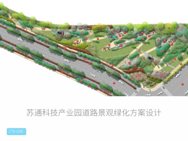 苏通科技产业园道路景观绿化方案设计
