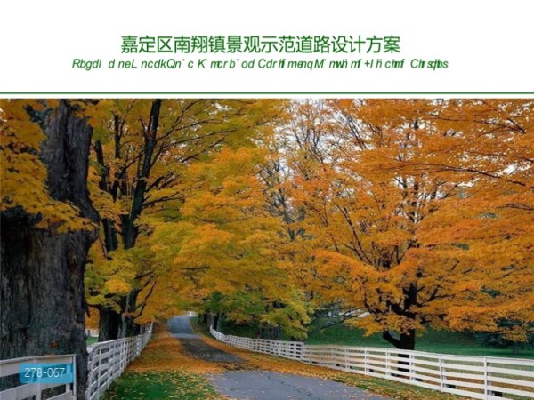 嘉定区南翔镇景观示范道路设计方案