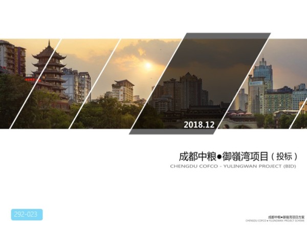 成都中粮御岭湾现代山地别墅建筑方案