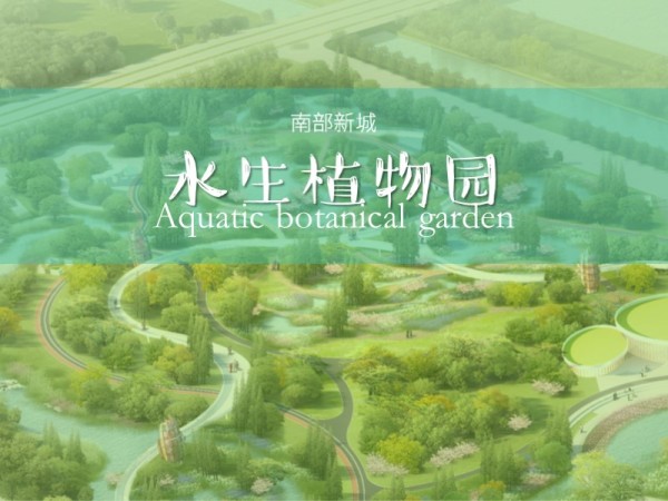 沭阳南部新城水生植物园景观方案